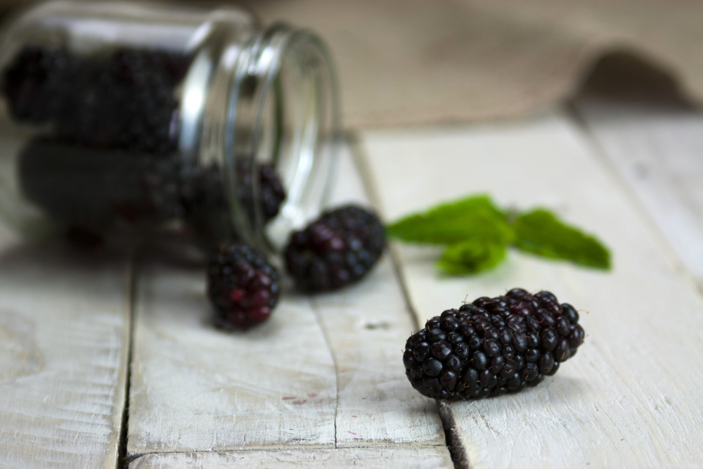 Mulberries spilling from a jar - best mulberry recipes
