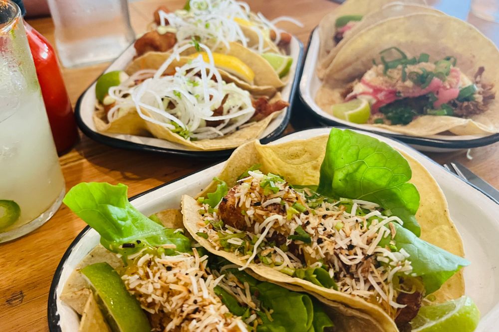 Tacos - The Mexican - best restaurants in Port Douglas