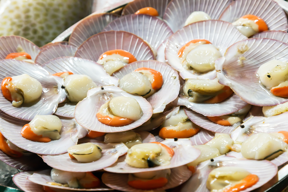 fresh scallops - Apollo Bay Bakery - best restaurants in Apollo Bay
