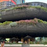 Best Restaurants in Barangaroo, Sydney Best restaurants in Barangaroo - Barangaroo House.